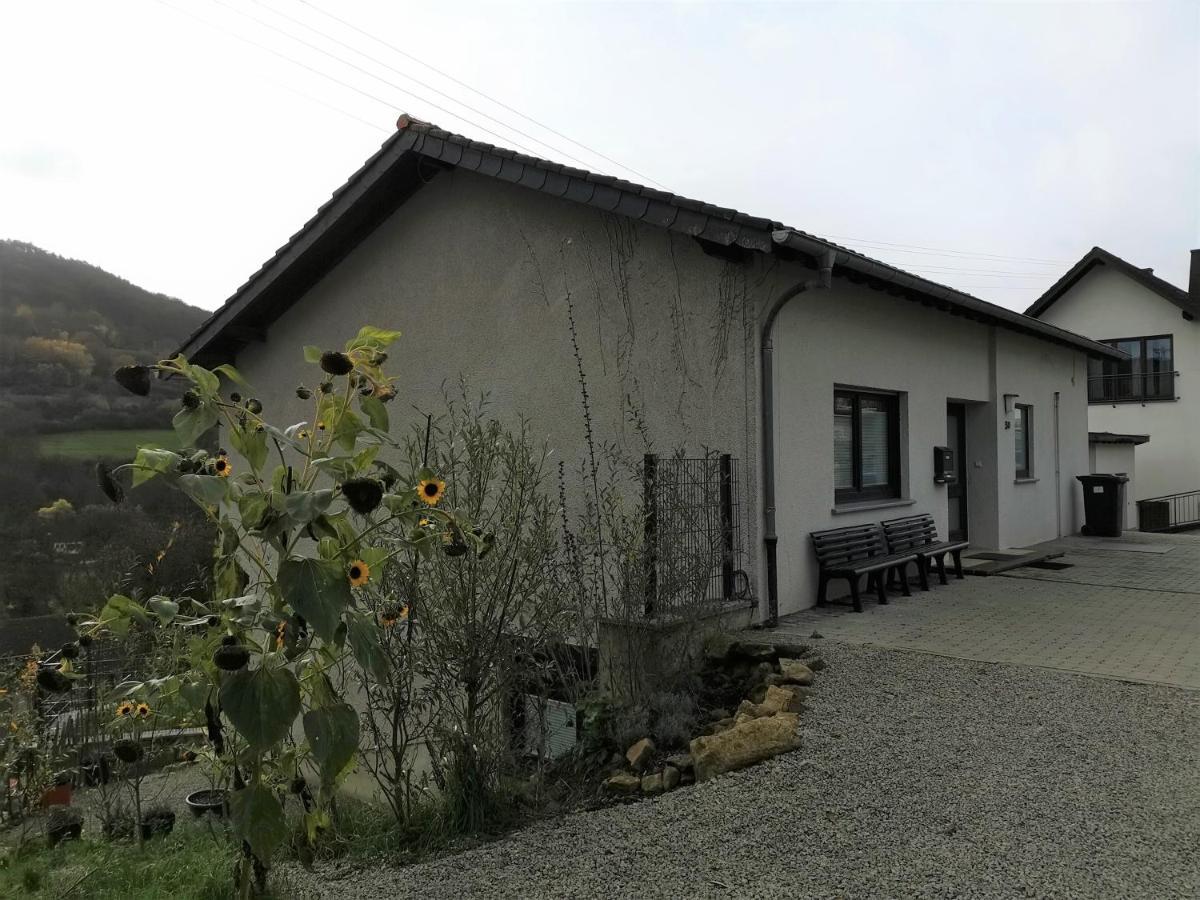 Ferienhaus Fraeulein Frenz Bollendorf Kültér fotó