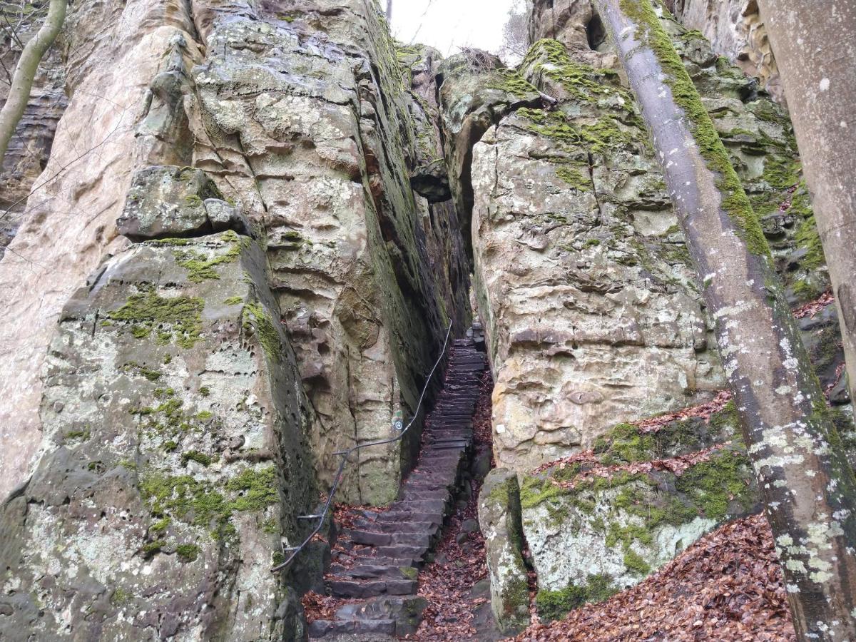 Ferienhaus Fraeulein Frenz Bollendorf Kültér fotó