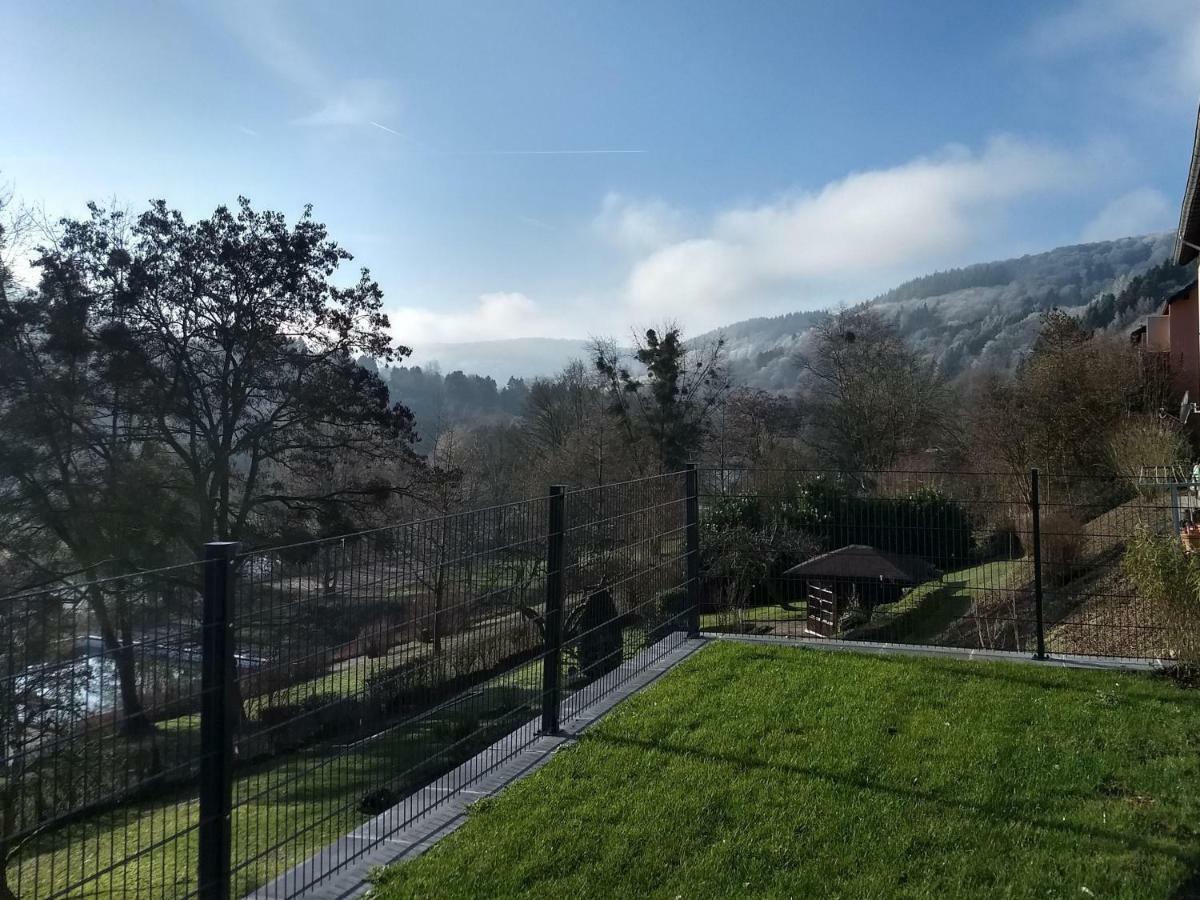 Ferienhaus Fraeulein Frenz Bollendorf Kültér fotó